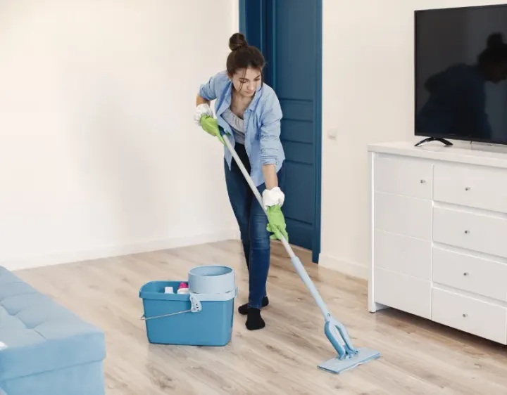 Femme de ménage Damery